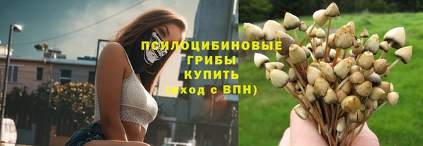 мет Арсеньев