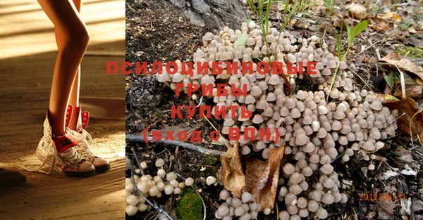 MESCALINE Весьегонск