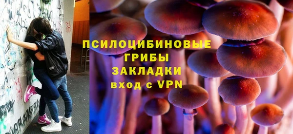 мет Арсеньев