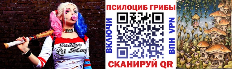 Псилоцибиновые грибы Psilocybe  сайты даркнета какой сайт  Курганинск  где найти наркотики 